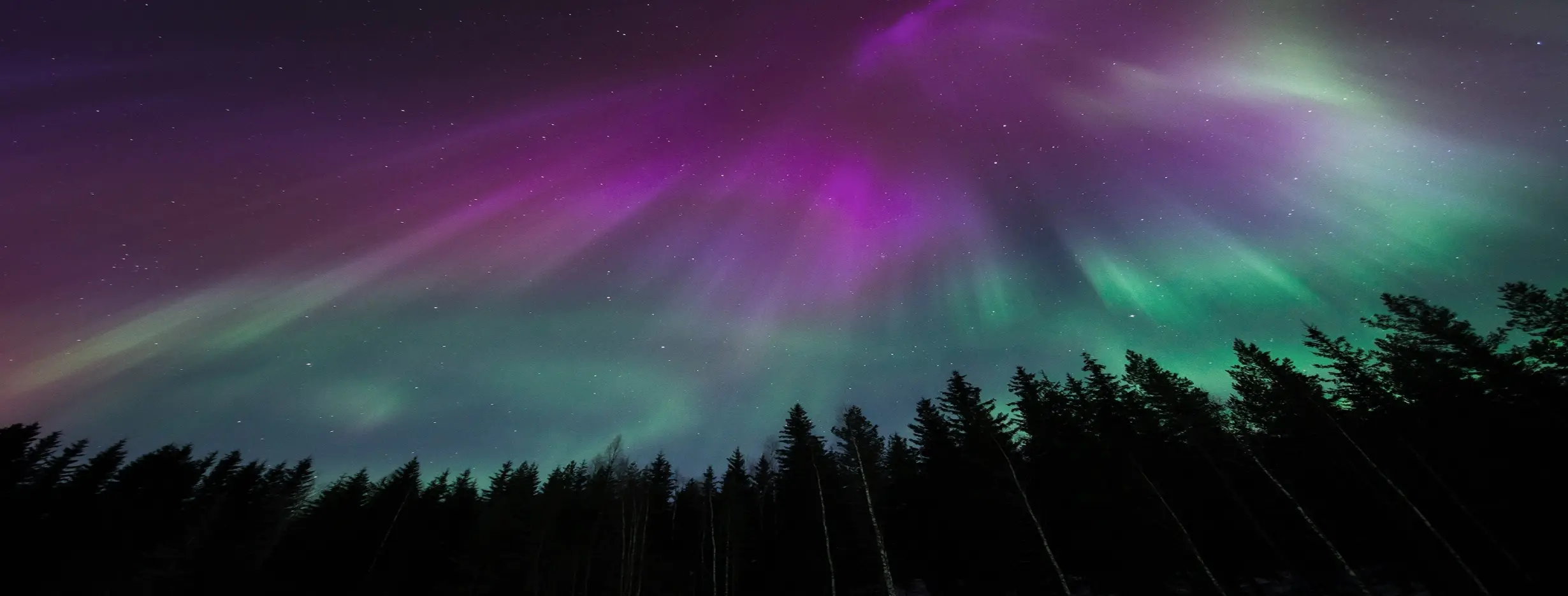 Image for Northern Lights